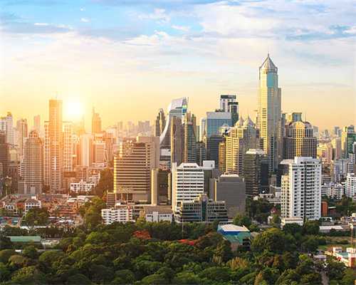 陆家嘴财经早餐2024年11月12日星期二