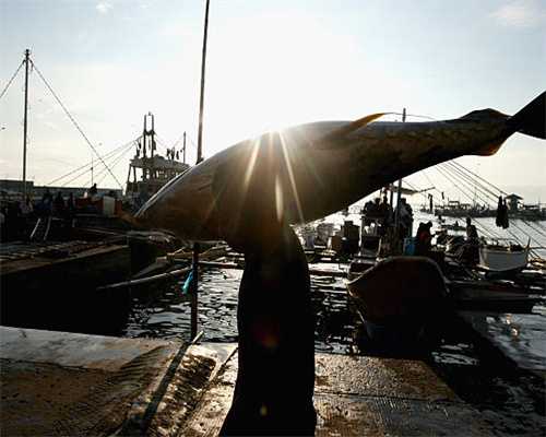 蛇口新盘招商仕林臻邸，12号线花果山站，推188套面积115/155㎡