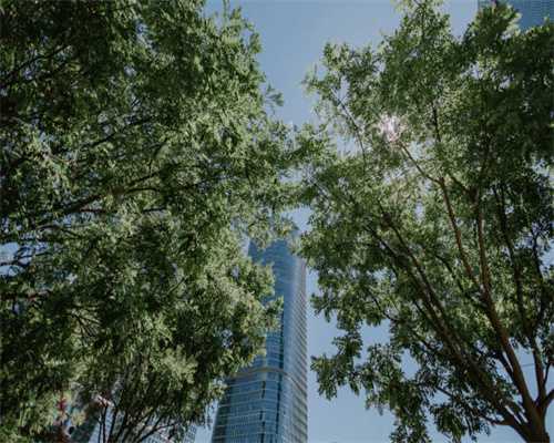 沉寂一年，合肥万科又回来了