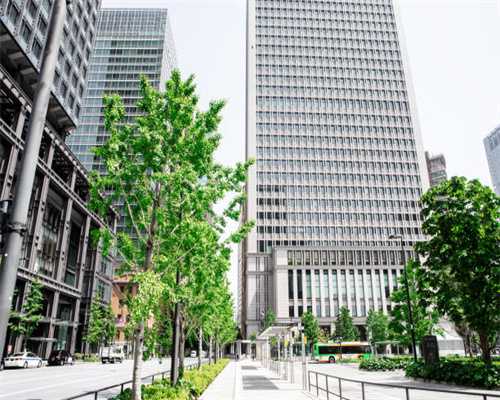 江宁又一口袋公园开建