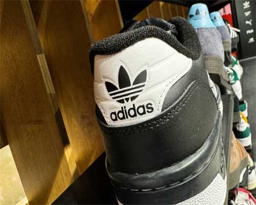 品味“苏式”年味！外国友人沉浸式体验苏州园林文化