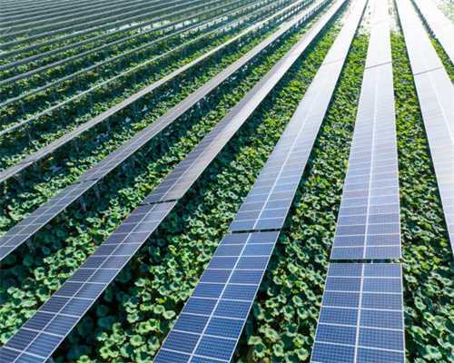 10月12日起，威海部分公交线路优化调整