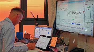 预计年底基本完工！43棵“科技之树”闪耀未来科技城