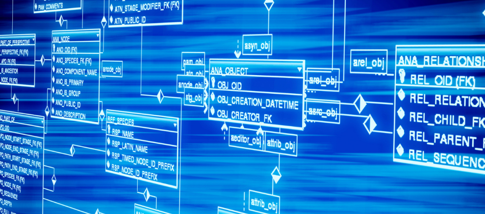 “冻”真格！4号线、14号线…今冬这些地铁线路为恶劣天气准备了——