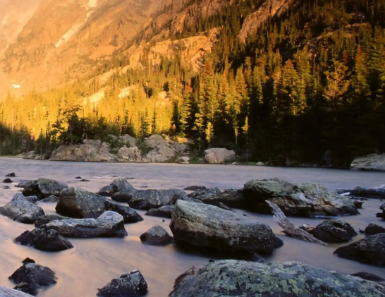 南通厂南社区股份经济合作社正式成立